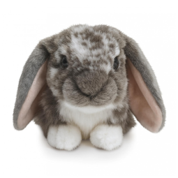 Coelho de Pelúcia de 25 cm, Fofo, Living Nature Holandês Lop Eared, Cinza