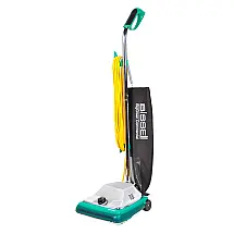 Aspirador de Pó BigGreen, 110v, BISSELL 17X33, Verde
