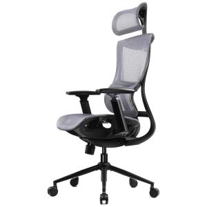 Dowinx Cadeira de Escritório Ergonômica Giratória e Ajustável com Apoio 3D, Cinza