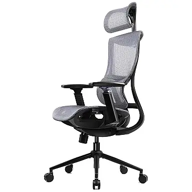 Dowinx Cadeira de Escritório Ergonômica