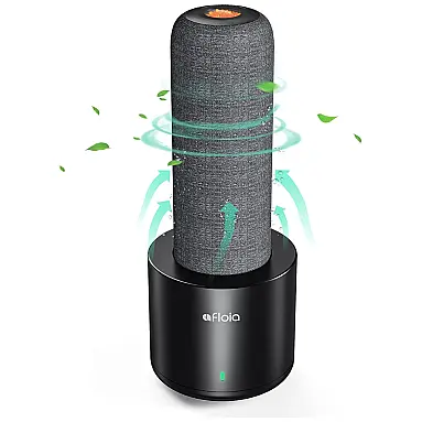 Desumidificador Mini Recarregável e Portátil,