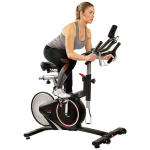 Bicicleta Ergométrica com 13 Velocidades e Assento Ajustável, SUNNY HEALTH FITNESS SF B1709, Preto