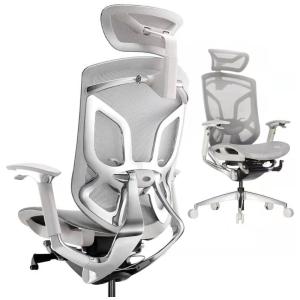 ERGOUP DV 10 Cadeira de Escritório Ergonômica Giratória e Ajustável com Apoio 4D, Cinza