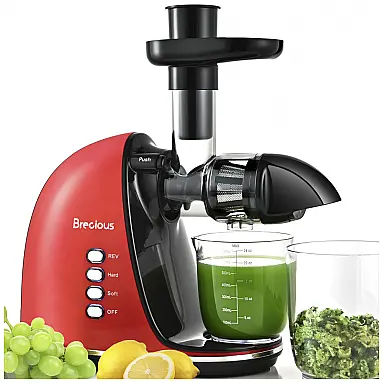Centrifuga de Frutas com 2
