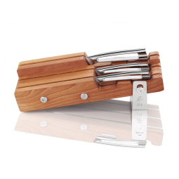 Conjunto de Facas em Aço Inoxidável com Bloco de Bancada, 4 Peças, CANGSHAN 61857, Prateado