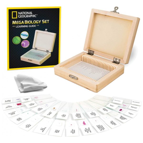 ectq8nq4cy570b_0 jpg - Conjunto de Amostras de Nível Profissional, 25 Lâminas de Microscópio Preparadas, National Geographic