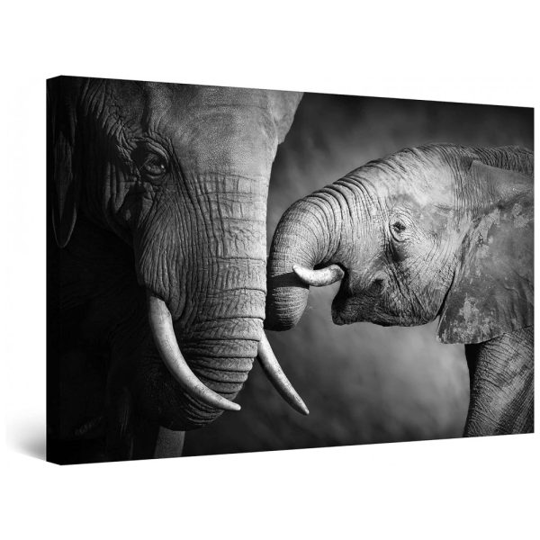 ectqdxqjftf90b_0 jpg - Quadro Decorativo Mãe Elefante 81 x, STARTONIGHT, Cinza