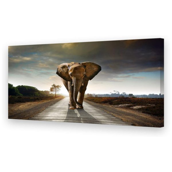 ectqv6ktfcz80b_0 jpg - Muolunna D1275 Quadro Decorativo Elefante 76 x