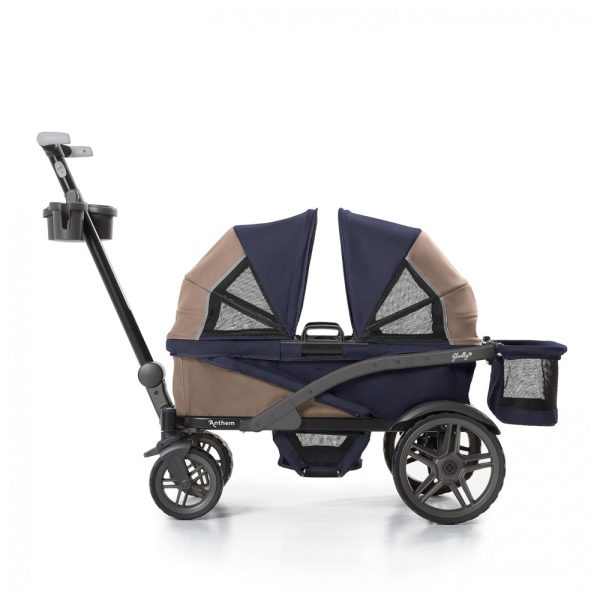 ectq89bfh4b90b_0 jpg - Carrinho de Passeio para 2 Crianças Multifuncional com Cobertura Removível e Dobramento, até 90 kg, Gladly Family, Azul e Marrom