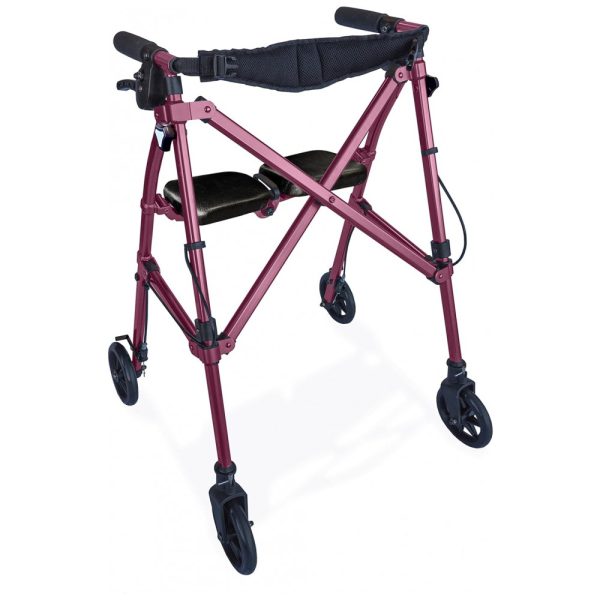 ectq9b3qtl580b_0 jpg - Andador Adulto Idoso com Assento, Suporta até 113 quilos, Roxo, ABLE LIFE COMFORTABLY INDEPENDENT 4250 RR, Violeta