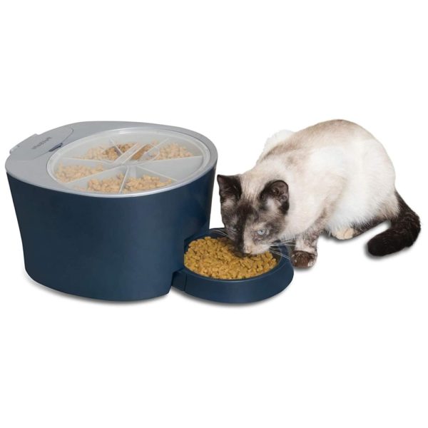 ectqlfnnyw570b_0 jpg - Comedouro Automático para Cães e Gatos Programável, Capacidade 1.4L, PETSAFE PFD00 15956, Azul