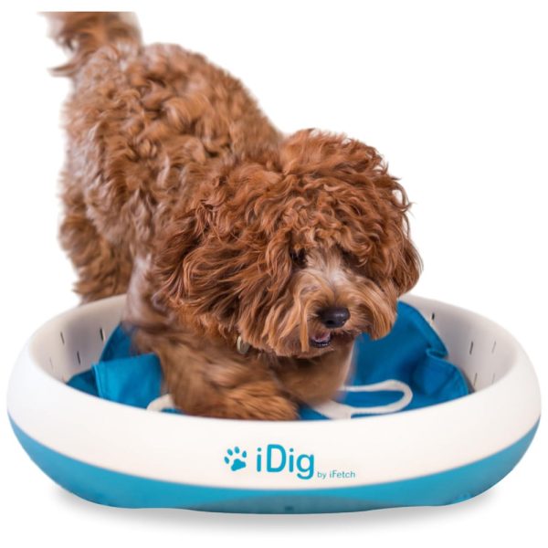 ectqytn189k70b_0 jpg - Brinquedo de Escavar para Cães com Porta Petisco, IFETCH Q 100, Azul