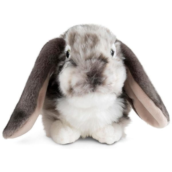 ectqy98psc480b_0 jpg - Coelho de Pelúcia de 25 cm, Fofo, Living Nature Holandês Lop Eared, Cinza