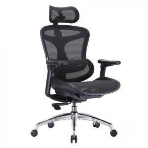 Cadeira Ergonômica de Escritório SIHOO Doro C300 Preta Apoio Lombar Dinâmico Adaptativo Braços 3D Encosto Ajustável 6 cm Modelo DORO-C