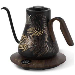 Chaleira elétrica pescoço de ganso Cocinare FLOW B9 09L inox display digital 1500W 110V Rainforest