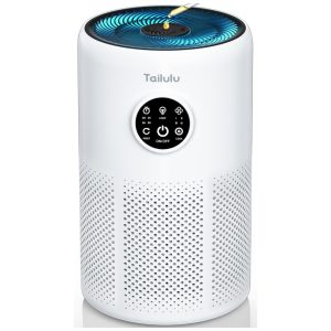 Purificador de Ar para Ambientes até 126m² com Filtro H13 HEPA Temporizador Função de Aromaterapia Esponja Baixo Ruído e Economia de Energia 110V 11W Tailulu D10 Branco