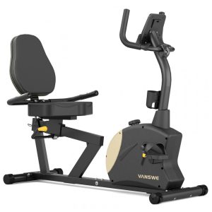 Bicicleta Ergométrica com 8 Velocidades e Assento Ajustável VANSWE RB912 Preto