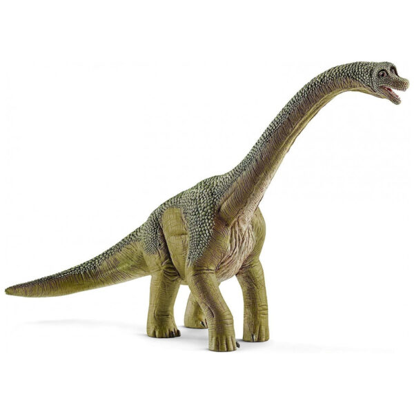 Brinquedo de Dinossauro Schleich Brachiosaurus Realista de 24,4 cm - Verde Durável Divertido e Educacional para Meninos e Meninas Figura de Dinossauro