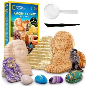 Kit de Construção e Pintura de Casinha de Passarinho Multicolor – Brinquedo Educativo STEM para Crianças Presente Criativo National Geographic