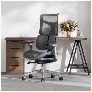 Cadeira Ergonômica de Escritório SIHOO Doro S100 Preta Apoio Lombar Dinâmico Duplo Braços 4D Encosto Ajustável em 5 Níveis Modelo S100-M301-FBM