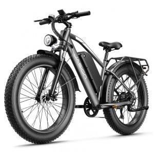 Bicicleta elétrica Jasion EB5 MAX cinza pneus 26x4 motor até 2000W bateria 48V 15Ah 7 marchas suspensão dianteira e voltagem 110V
