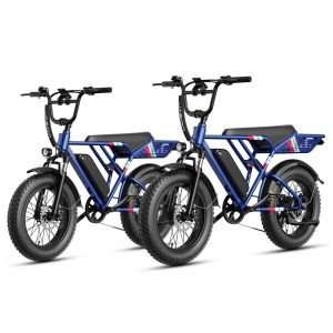 Bicicleta elétrica Jasion RetroVolt kit 2 unidades azul  20x4 suspensão dupla freio hidráulico motor 1500W pico bateria 48V 13Ah 70 km 7 marchas 110V