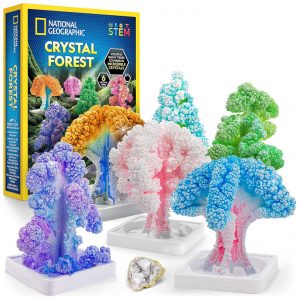 Kit de Cultivo de 6 Árvores de Cristal em 6 Horas para Crianças National Geographic