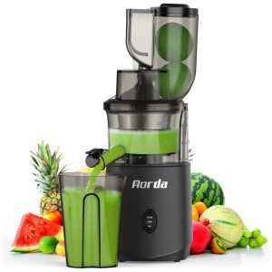 Centrifuga de Frutas com Motor Silencioso Proteção Contra Superaquecimento e Design Compacto 110V 200W Aorda Cinza Fosco