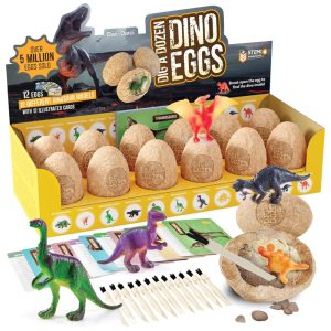 Kit de Escavação com 12 Ovos de Dinossauro para Crianças de 3 a 12 Anos Dan Darci