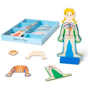 Kit Magnético Anatomia Humana com 24 Peças e Bandeja de Armazenamento Melissa & Doug