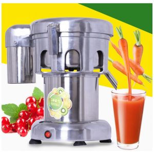 Espremedor de Frutas e Vegentais Elétrico Profissional Aço Inoxidável 110V Gdrasuya10 Prata