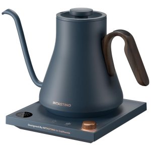 Chaleira Elétrica INTASTING Gooseneck Controle de Temperatura Aquecimento Rápido Inox 0.9L Azul Marinho