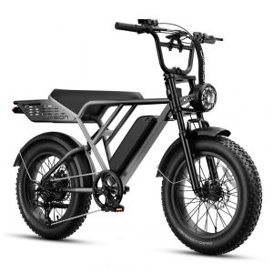 Bicicleta elétrica Jasion RetroVolt Pro cinza pneus 20x4 motor 750W pico 3000W bateria 52V 20Ah 7 marchas freios hidráulicos suspensão dupla 110V