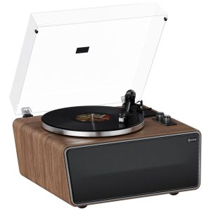 Toca-Discos All in One com Bluetooth e Alto-falantes Integrados - Alta Fidelidade e Design ExclusivoXJ-HOME