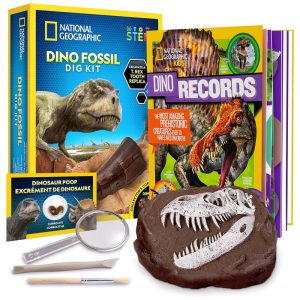 Kit Livro de Dinossauro e de Fóssil de Dente de Dinossauro para Escavar National Geographic