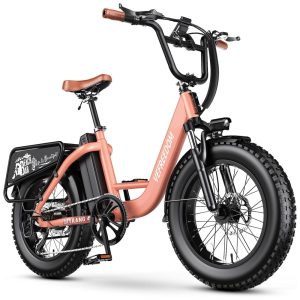 Bicicleta Elétrica EUY para Adultos com Motor de Pico de 1500W Bateria Removível de 48V 20Ah Ebike Rápida Máx. 112Km 48km/h Pneu Gordo de 20x4.0
