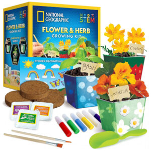 Kit de Jardinagem de Flores e Ervas – Brinquedo Educativo STEM, Cultive em Casa com Potes Decoráveis, Presente Criativo, National Geographic