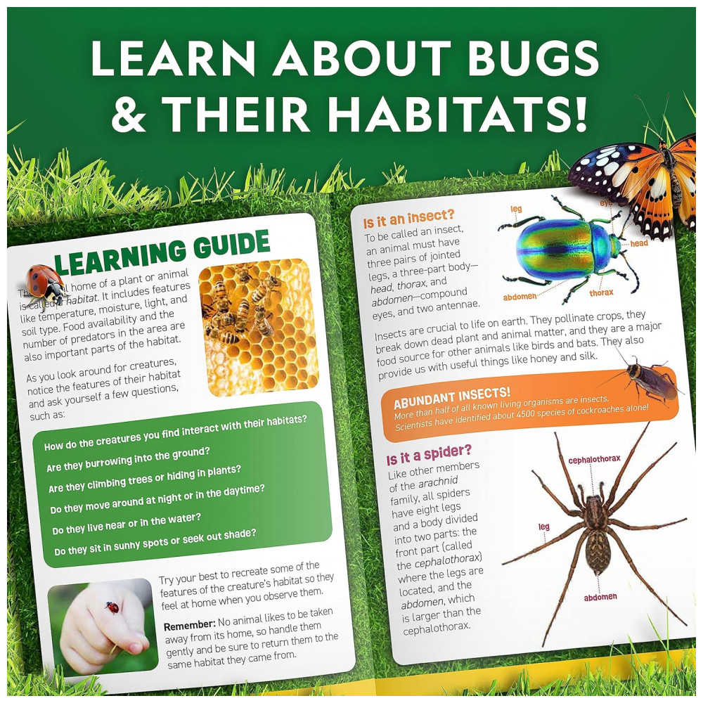 Kit de Exploração de Insetos – Habitats, Rede, Pinças, Aprendizagem STEM, Presente Educativo para Crianças, National Geographic - Imagem 6