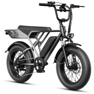 Bicicleta elétrica Jasion RetroVolt prata-cinza pneus 20x4 motor 750W pico 2000W bateria 48V 13Ah 7 marchas suspensão dupla freios disco duplo 110V