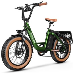 Bicicleta Elétrica EUY para Adultos com Motor de Pico de 1500W Bateria Removível de 48V 20Ah Ebike Rápida até 70 Milhas 30MPH Pneu Gordo de 20 x 4
