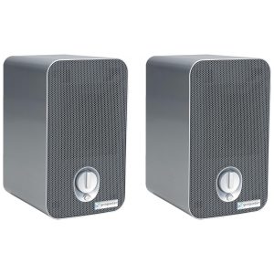 Purificador de Ar 4 em 1 com Filtro HEPA e 3 Velocidades 2UN 110V GermGuardian Cinza