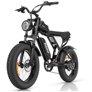 Bicicleta Elétrica para Adultos Ridstar Q20 Lite 1000W 48V 15.6AH - Ideal para Aventuras e Deslocamentos Diários