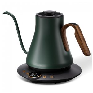 Chaleira elétrica pescoço de ganso Cocinare FLOW B9 09 L inox display digital 1500W 110V verde Delacroix