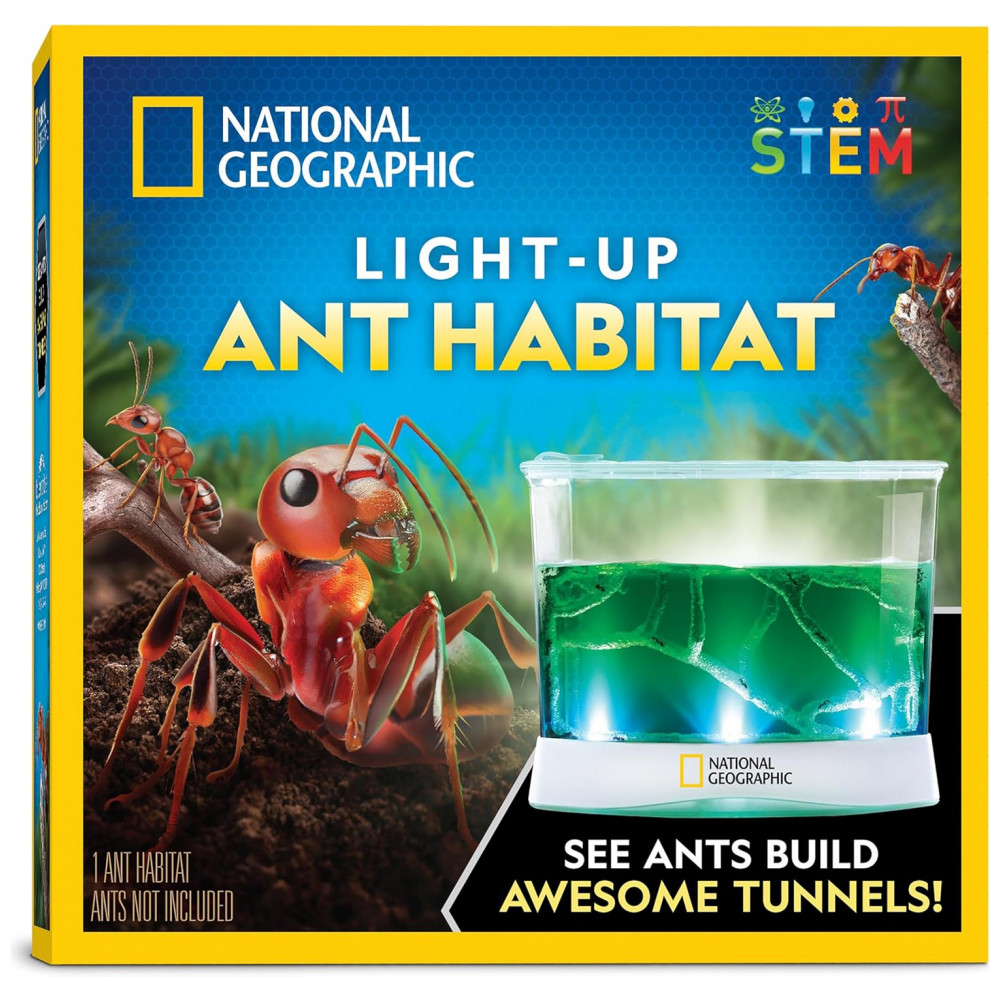 ECTQV19S463D0B_0-1.jpg - Kit Terrário Iluminado – Brinquedo Educativo STEM “Monte Seu Mundo Dino”, DIY Plantas + Fósseis + Presente Criativo para Crianças, National Geographic