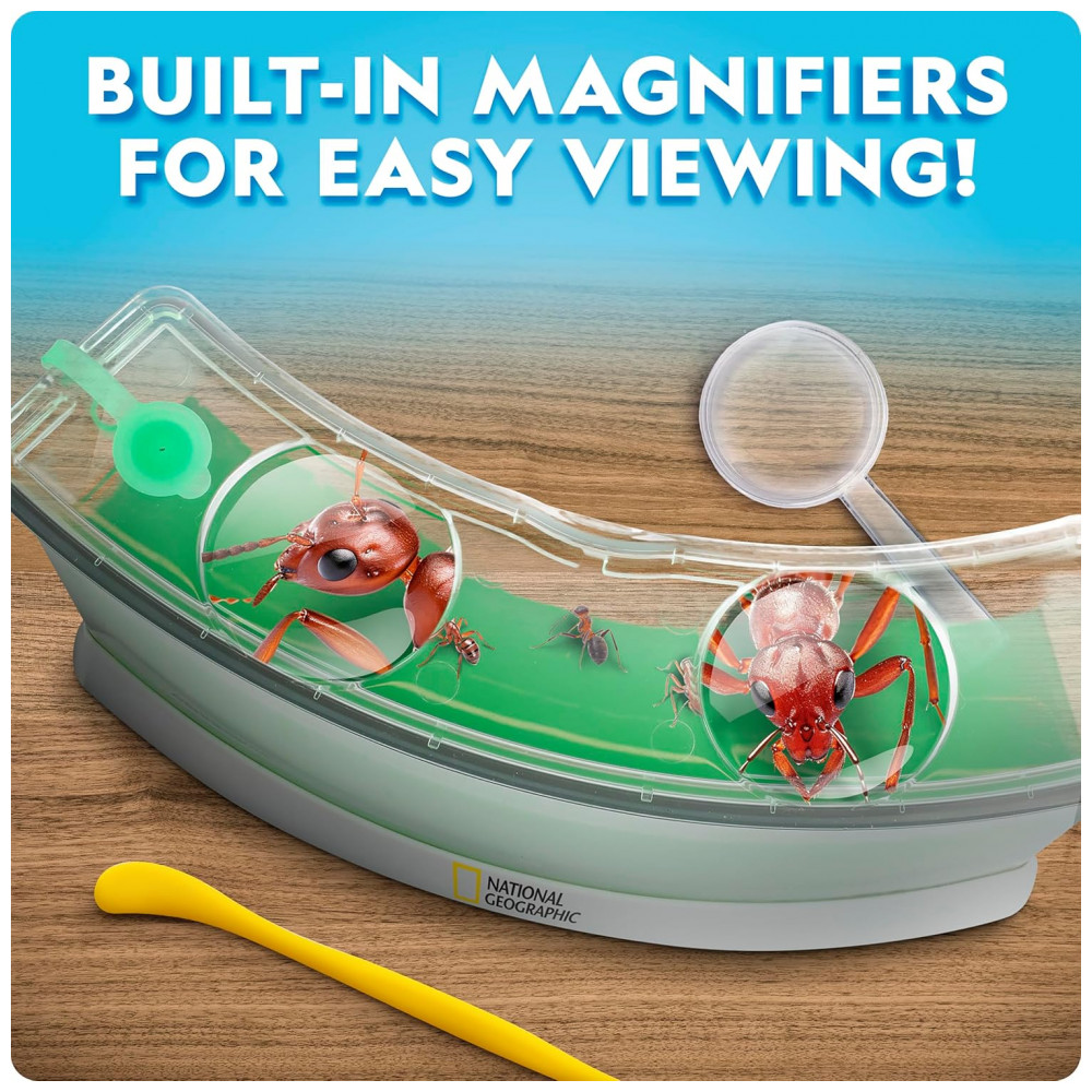 ECTQV19S463D0B_3-1.jpg - Kit Terrário Iluminado – Brinquedo Educativo STEM “Monte Seu Mundo Dino” DIY Plantas + Fósseis + Presente Criativo para Crianças National Geographic