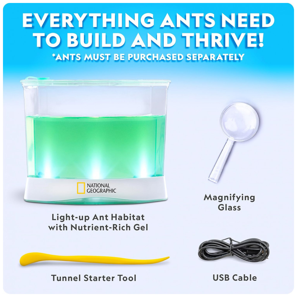 ECTQV19S463D0B_4-1.jpg - Kit Terrário Iluminado – Brinquedo Educativo STEM “Monte Seu Mundo Dino” DIY Plantas + Fósseis + Presente Criativo para Crianças National Geographic