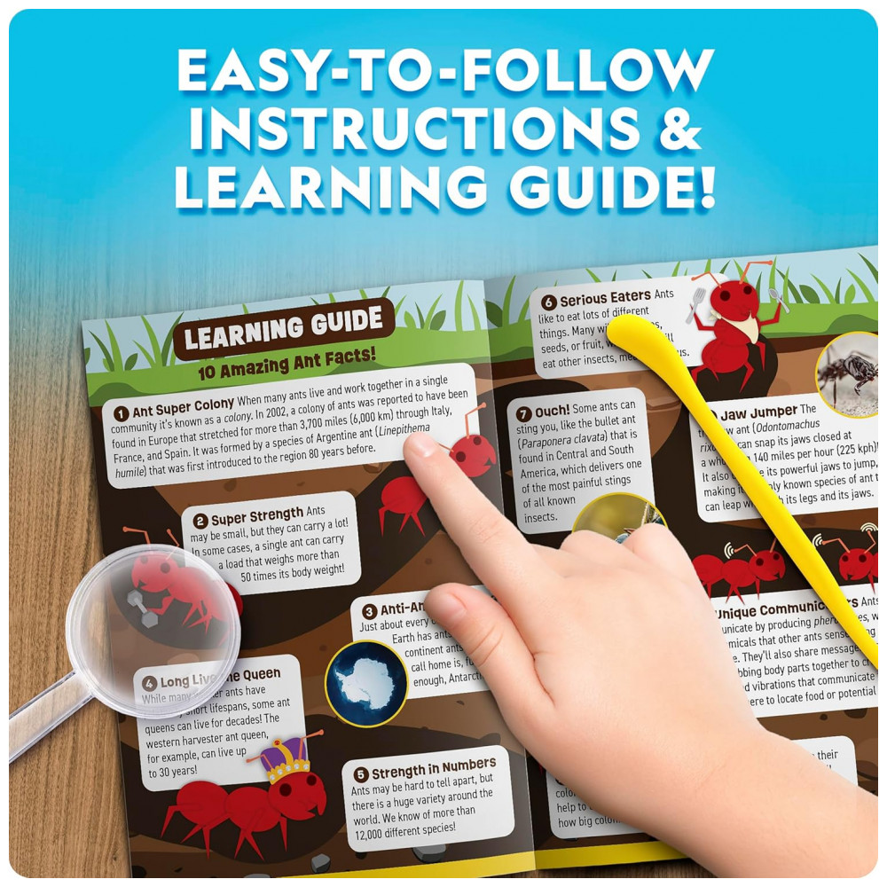 ECTQV19S463D0B_5-1.jpg - Kit Terrário Iluminado – Brinquedo Educativo STEM “Monte Seu Mundo Dino” DIY Plantas + Fósseis + Presente Criativo para Crianças National Geographic