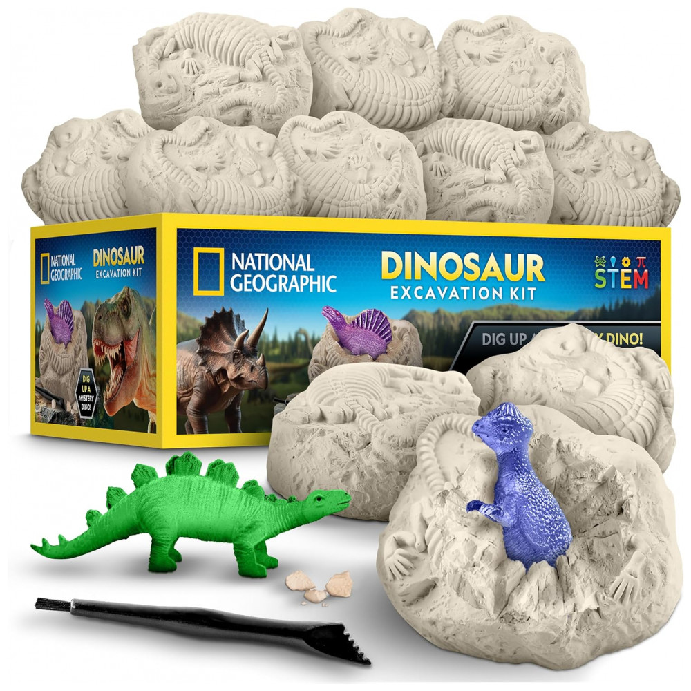 ECTQY1LSRHPF0B_0-1.jpg - Dinosaur Dig Brick Set 30 Peças, Brinquedos STEM de Dinossauros que Brilham no Escuro, Kits de Escavação com Ferramentas e Guia Educativo National Geographic