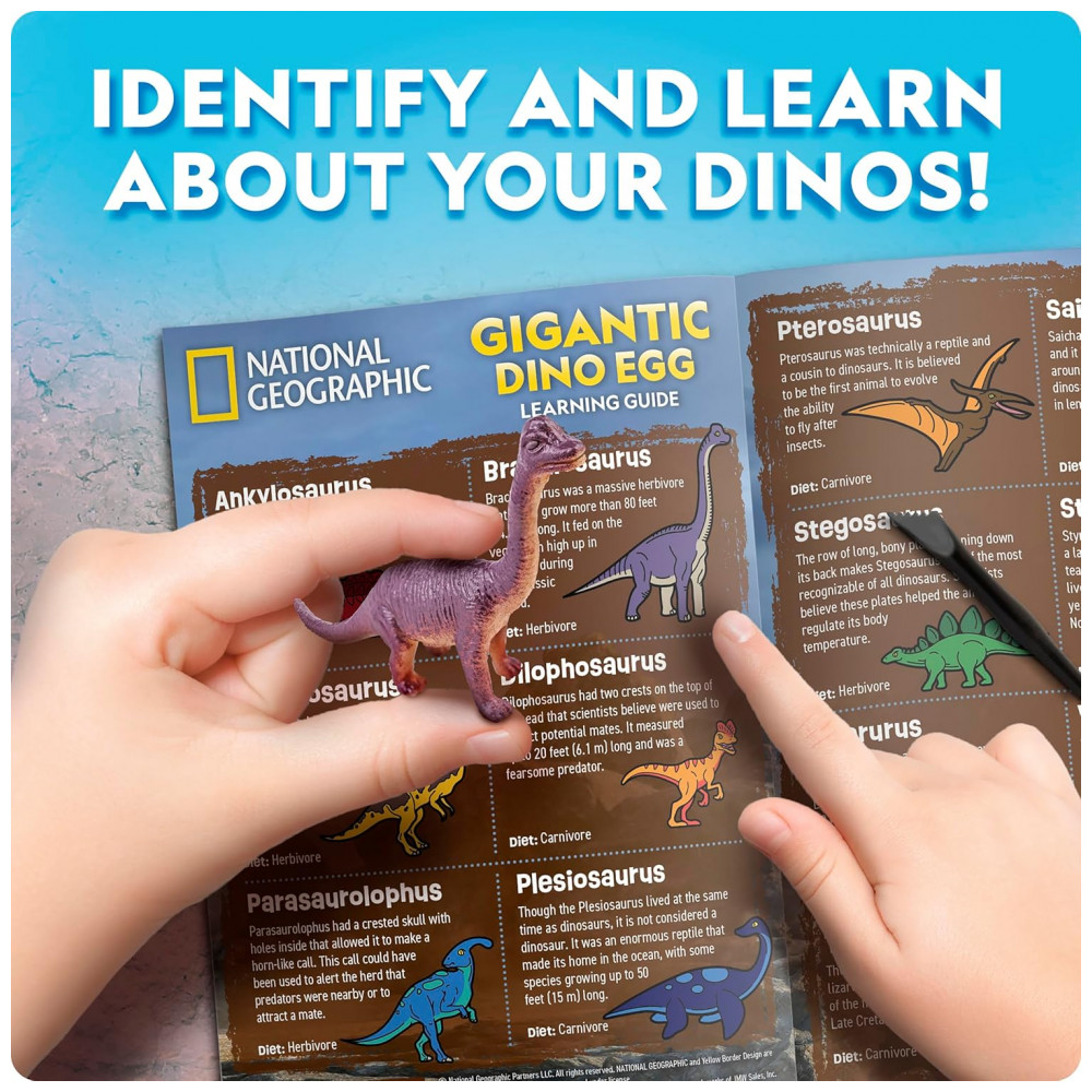 ECTQZ1DCXZ1D0B_5-1.jpg - Kit de Escavação Ovo Gigante de Dinossauro – Brinquedo Educativo STEM Presente Criativo para Crianças National Geographic
