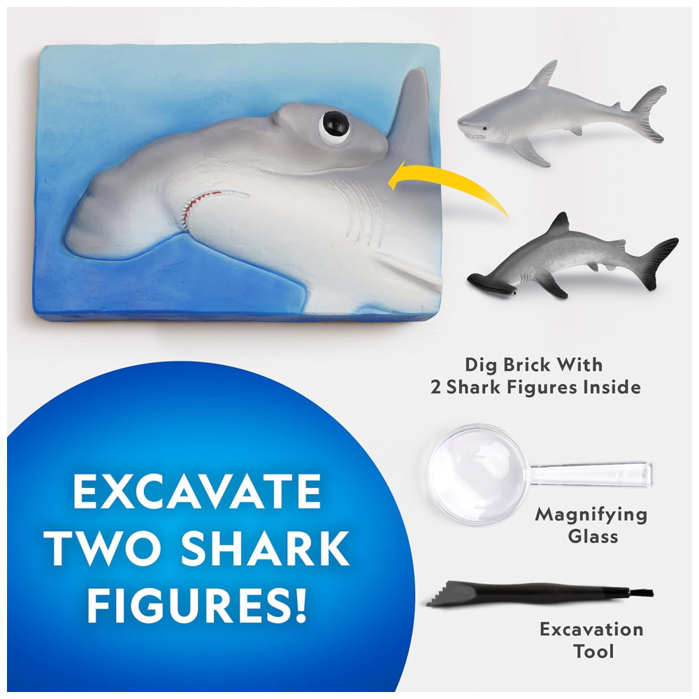 ECTQZGH689GD0B_1-1.jpg - Kit de Escavação de Tubarões – Brinquedo Educativo STEM, Presente Criativo para Crianças, National Geographic